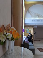 -深圳美莱医疗美容医院