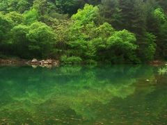 -朝阳沟