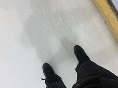 -世界之窗阿尔卑斯冰雪世界