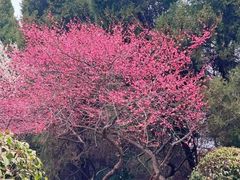 -白塘生态植物园