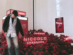 -长沙尼依格罗酒店