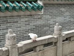 -悦城龙母祖庙