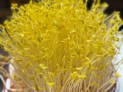 -巴倒烫陆派火锅山庄(南山总店)