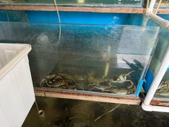 -小陆莲花蟹园农家乐(莲花岛店)