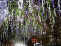 -乌山风景区