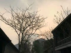 -苏皖边区政府旧址纪念馆