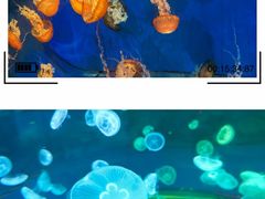 -南昌融创海世界