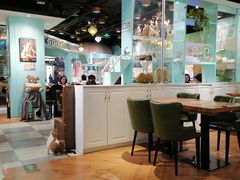 -猫小院猫主题餐厅(三里屯店)