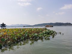 -知味观(湖滨总店)