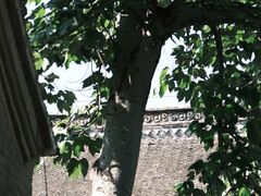 -康百万庄园