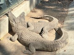 -昆明动物园