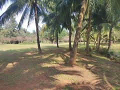 -白沙门生态公园