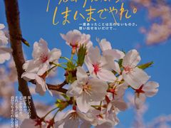 -龙美术馆(西岸馆)