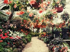 -斐兹洛伊花园
