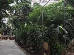 -龙达温泉生态城