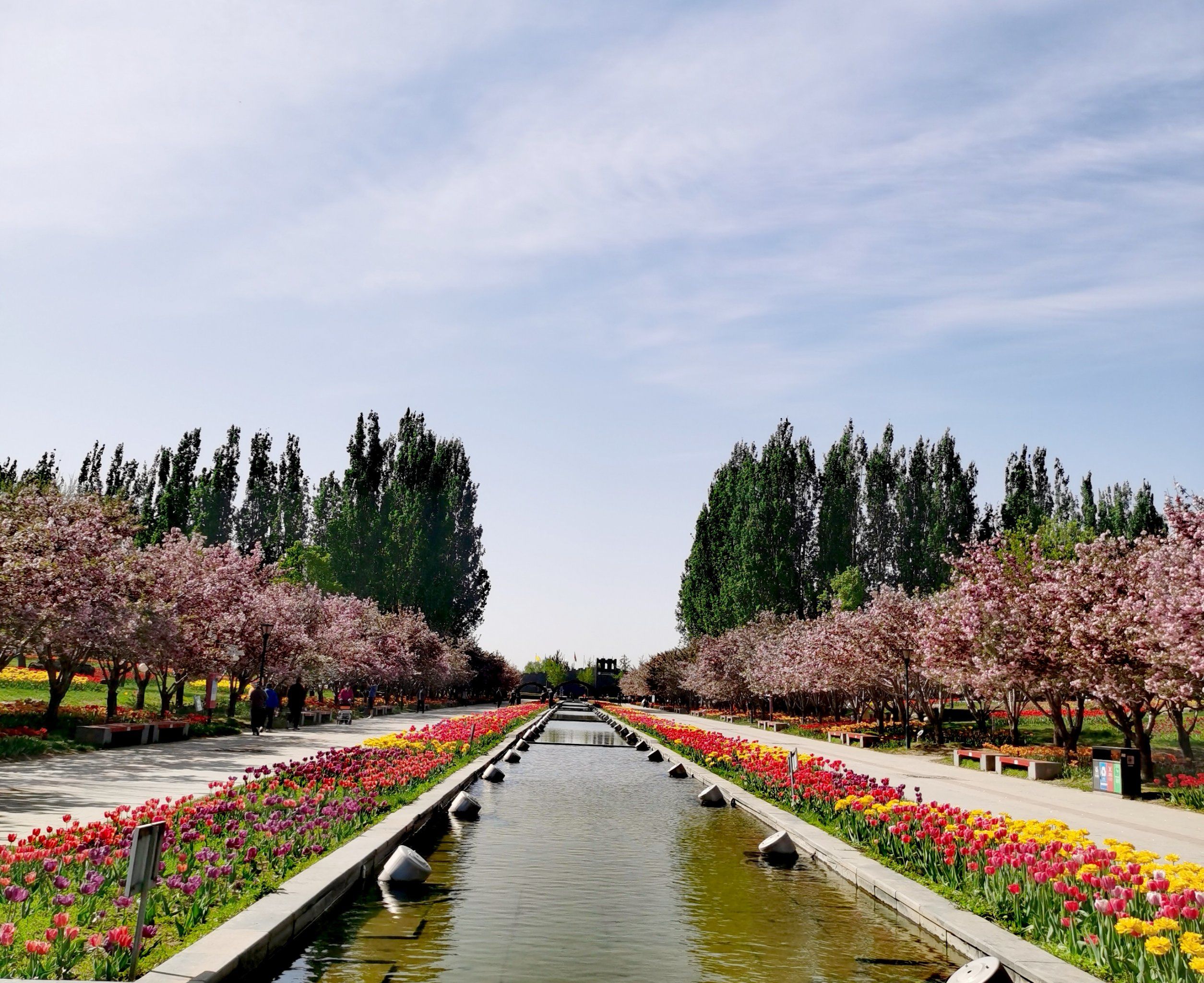 北京国际鲜花港