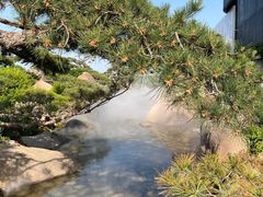 -罗红摄影艺术馆