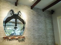 -TrueLove @ Neverland (Husky Cafe)