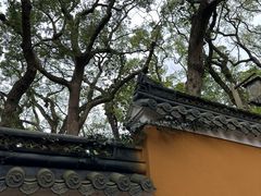 -普陀山风景区-佛顶山