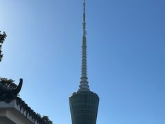 -梧桐山风景名胜区