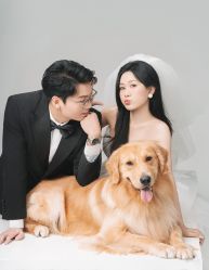 -大象映画旗舰店