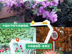 -喜茶(广州番禺奥园广场店)