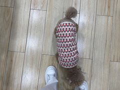 -狗不理喵子(百富路店)