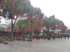 -顺峰山公园