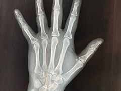 -北京中医药大学第三附属医院