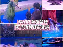 -华夏文旅西安度假区