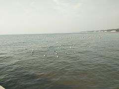 -老虎石海上公园