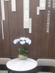 -加减美医美连锁品牌