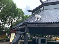 -淹城春秋乐园