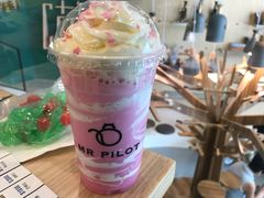 -飞行喵MR PILOT|猫舍·猫咖(静安大融城店)