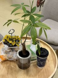 -塑青春&伊肤泉祛痘皮肤管理