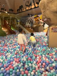 点击看大图 -卡通尼·Safari非洲探索乐园·生日会(金桥国际商业广场店)