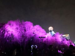 -武汉两江游览·夜游长江(汉口粤汉码头)
