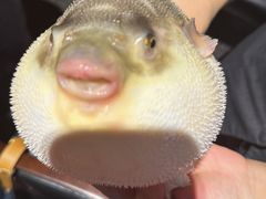 -永安鱼庄·镇江菜(东吴路店)