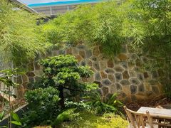 -山壹竹庭院餐厅