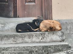 -云南屏边大围山国家公园