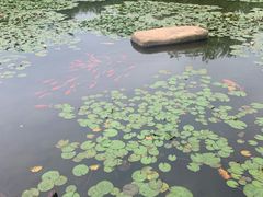 -白马涧龙池景区