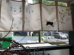 -猫里有甜