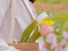 -天适樱花悠乐园