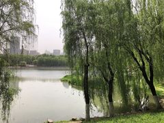 -后襄河公园