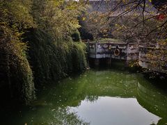 -济公故居