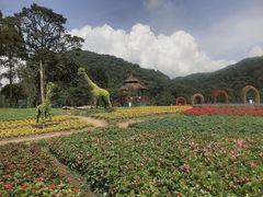 -广州市石门国家森林公园
