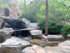 -燕塞湖鸟语林景区