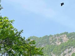 -秦岭终南山世界地质公园翠华山景区
