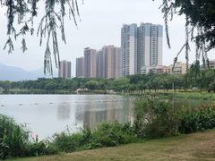-飞来湖湿地公园