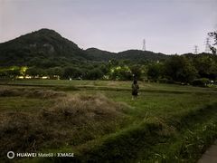 -八卦田遗址公园